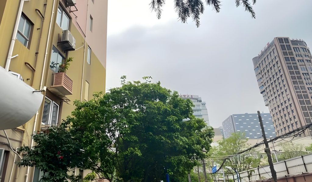 徐虹中心